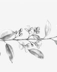 Papier peint nature - branche fleurie en noir et blanc