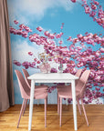 Papier Peint Nature - Ciel Bleu Et Branches De Cerisiers En Fleurs