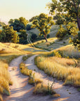 Papier peint campagne - sentier des oliviers