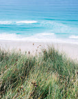 Landscape Wallpaper - Sand Dunes and Wild Grass