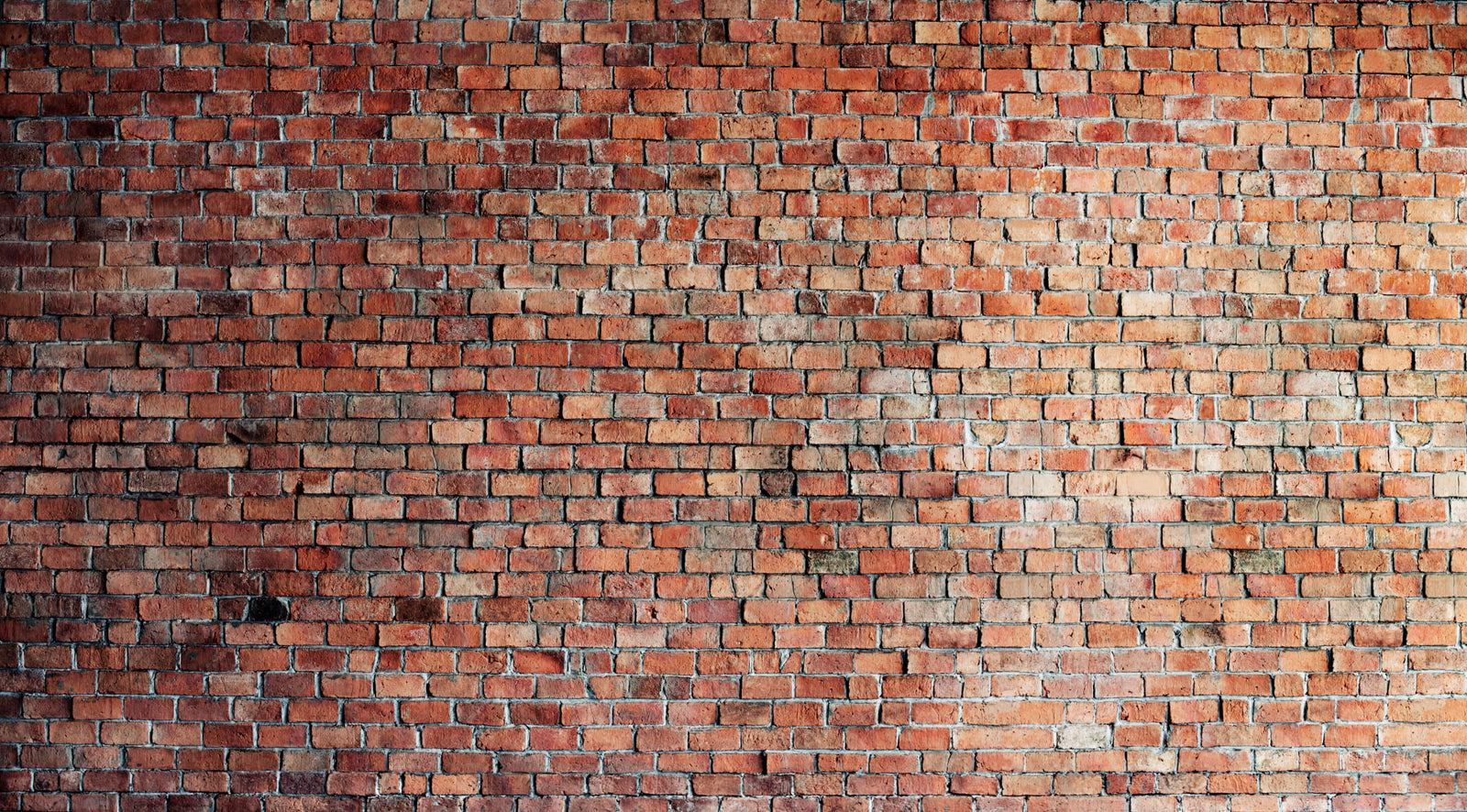 Papier Peint Art & Déco - Mur de Briques Traditionnel