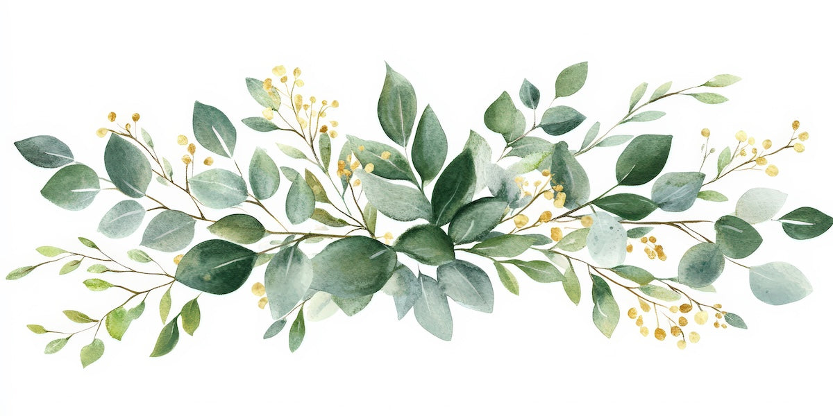 Papier peint fleuri - frise eucalyptus aquarelle