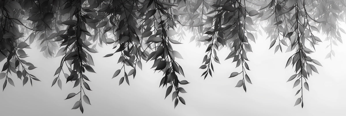 Papier peint nature - branches suspendues en noir et blanc