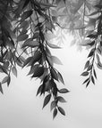 Papier peint nature - branches suspendues en noir et blanc