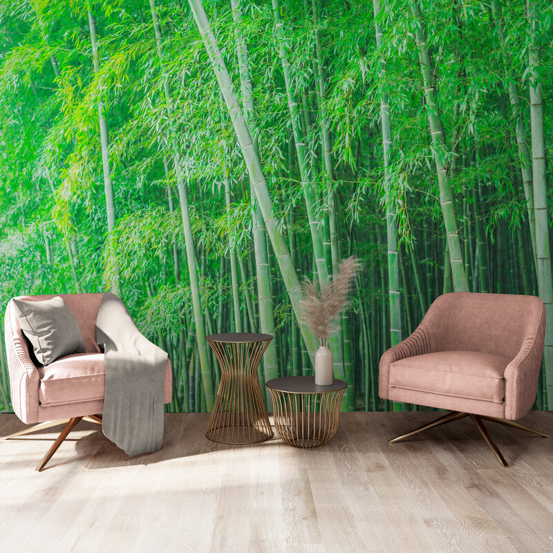 Japanese Wallpaper - Serenity Bamboo