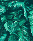 Foliage Wallpaper - Exotic Palms