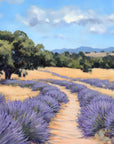 Papier peint campagne - sentier des lavandes