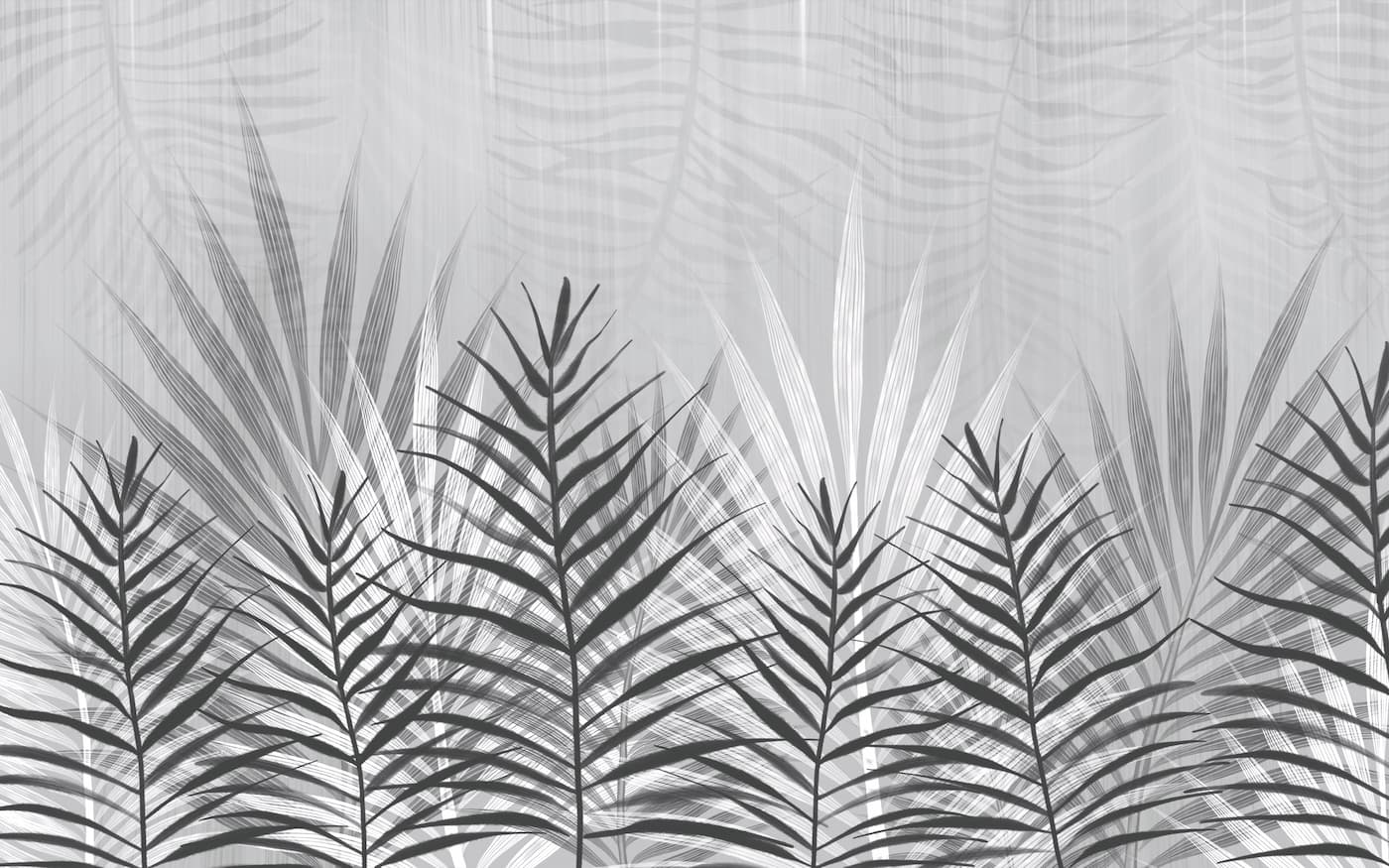 Black and White Wallpaper - Graceful Palms in Gradient