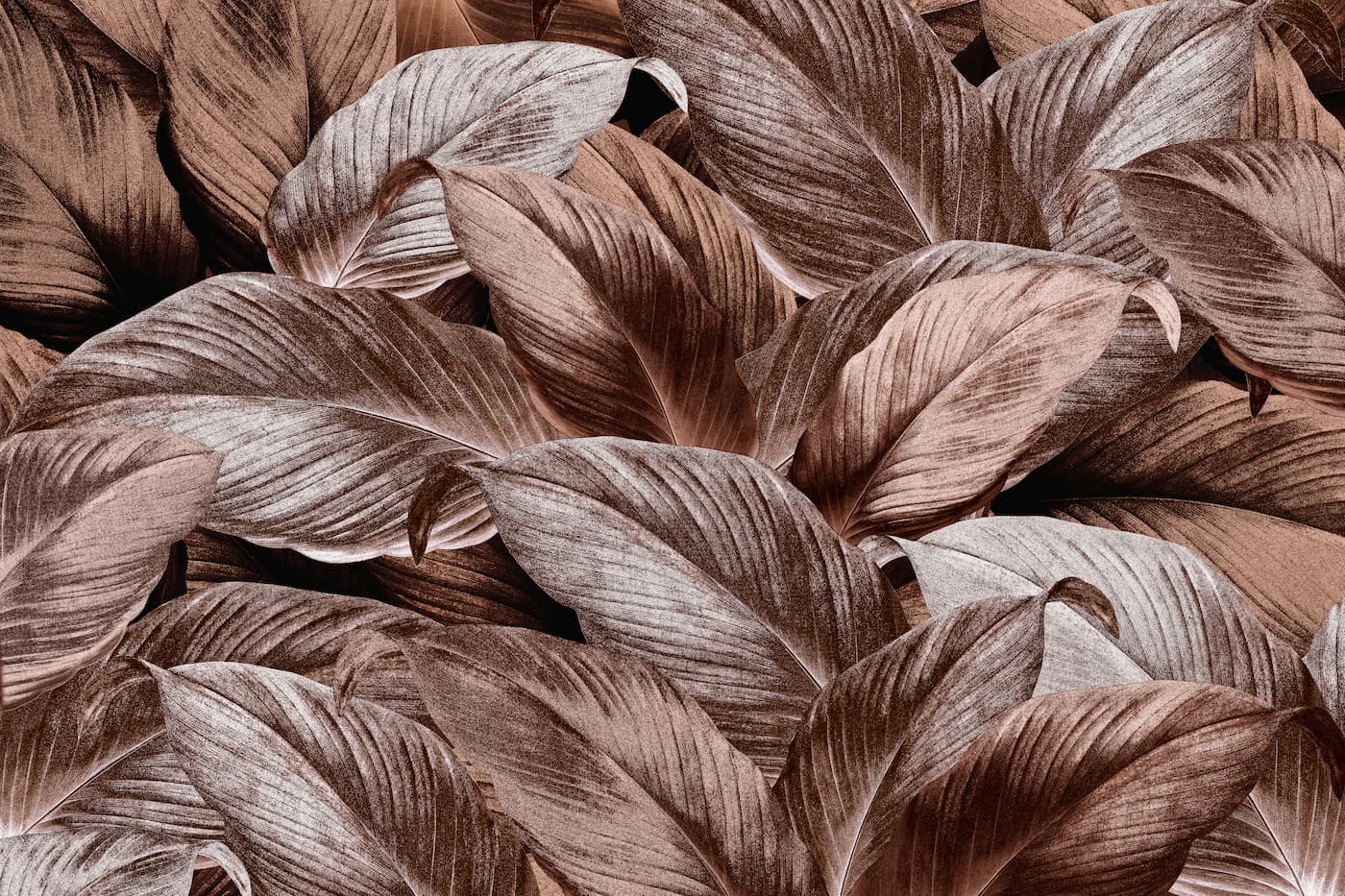 Foliage Wallpaper - Vintage Foliage in Brown Gradient