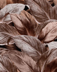 Foliage Wallpaper - Vintage Foliage in Brown Gradient