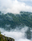 Papier Peint Paysage - Forêt Dans Les Nuages