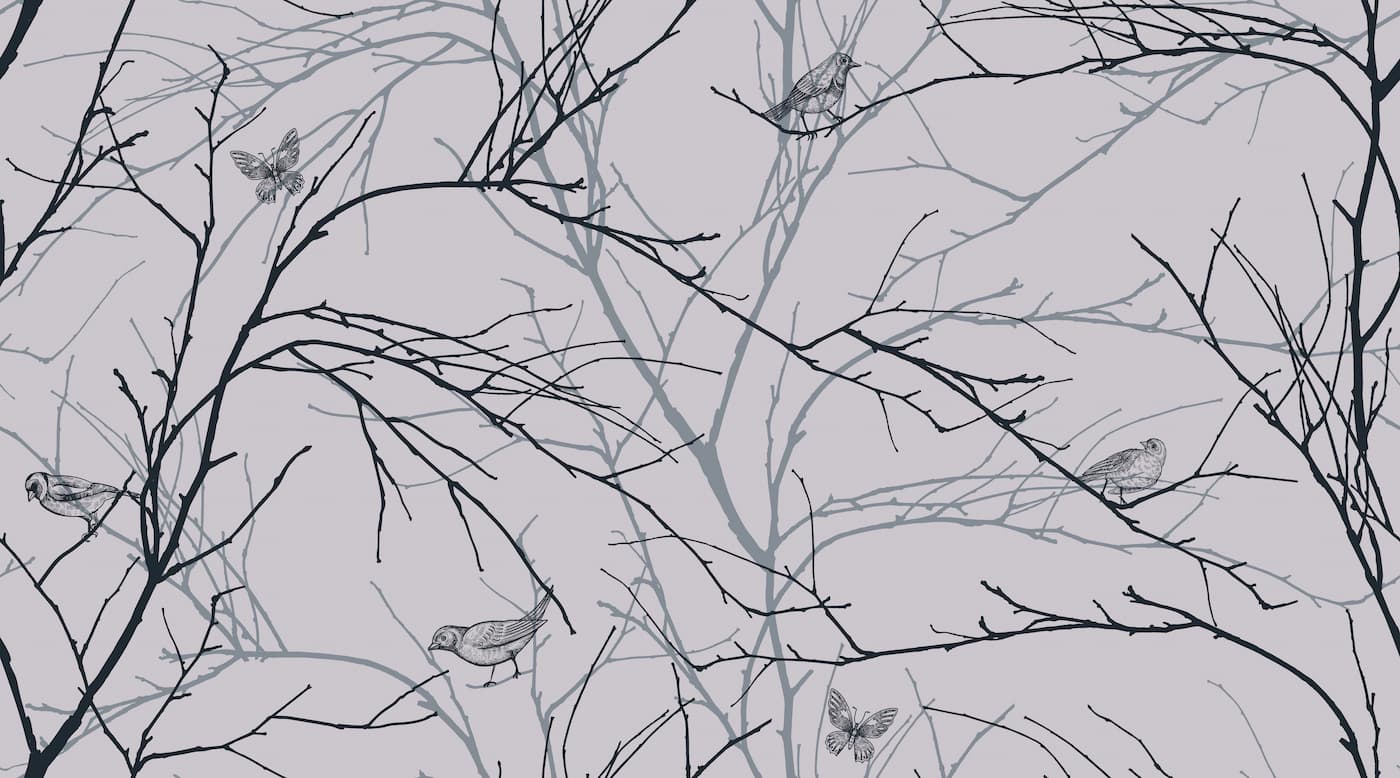 Forest Wallpaper - Winter Branches and Birds