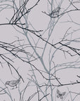 Forest Wallpaper - Winter Branches and Birds