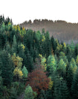 Landscape Wallpaper - Autumn Hills