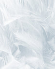 Papier Peint Design - Plumes Blanches