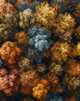 Papier Peint Paysage - Forêt Vue Du Ciel