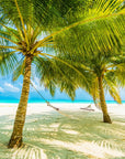 Papier Peint Panoramique - Plage Et Cocotiers Exotiques