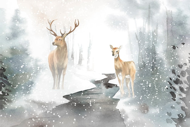 Landscape Wallpaper - Snowy Deer in a Misty Forest