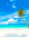 Papier Peint Tropical - Plage Et Cocotier