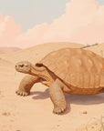 Animal Wallpaper – Desert Turtle