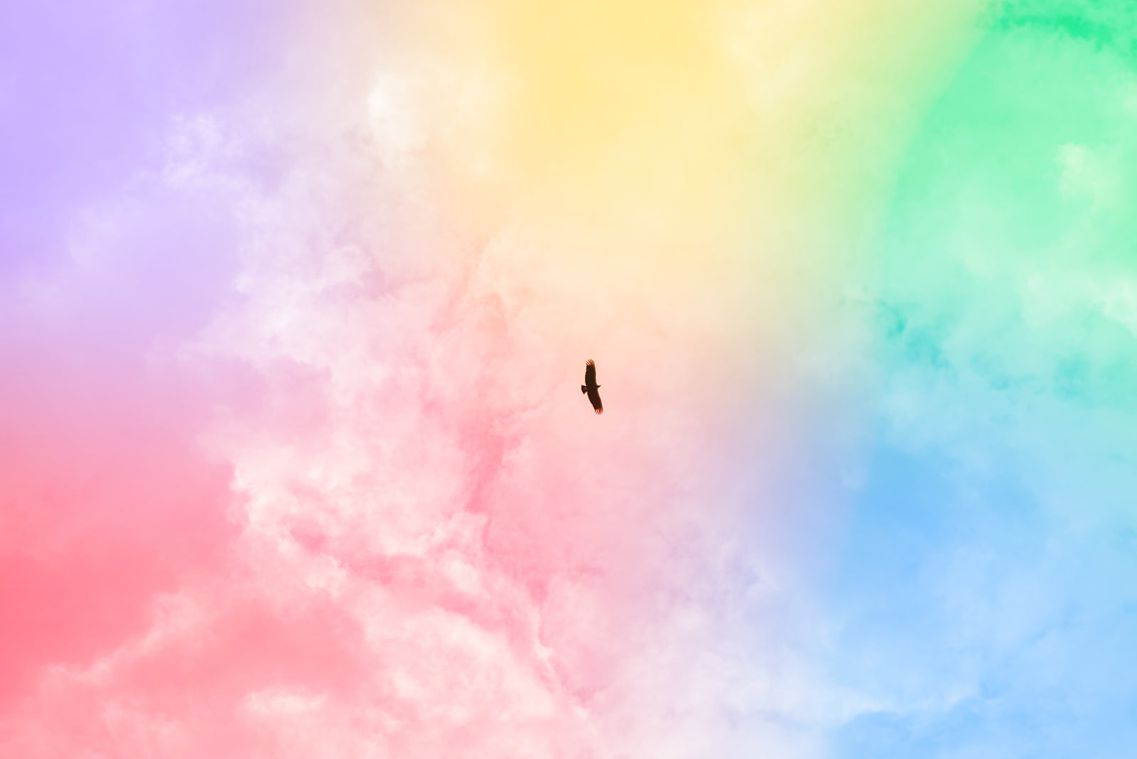 Papier peint Ciel – Vol poétique coloré