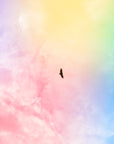 Sky Wallpaper – Colorful Poetic Flight