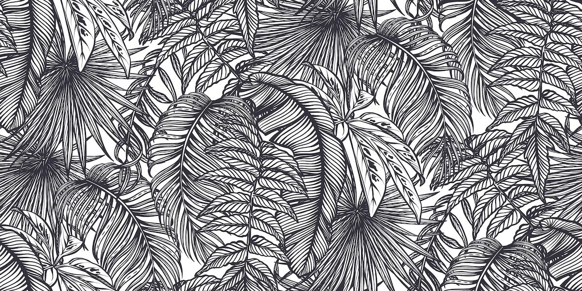 Papier peint nature - croquis de feuilles tropicales