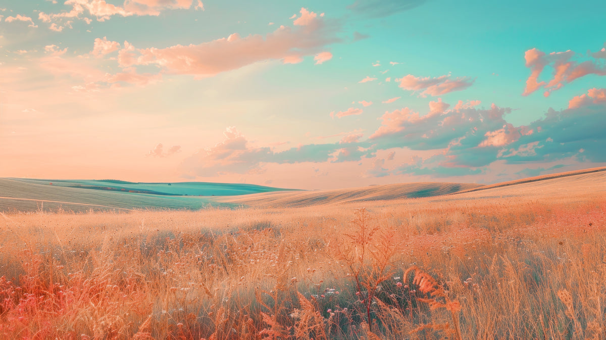 Papier peint nature - Champ aux couleurs pastel sous un ciel rose