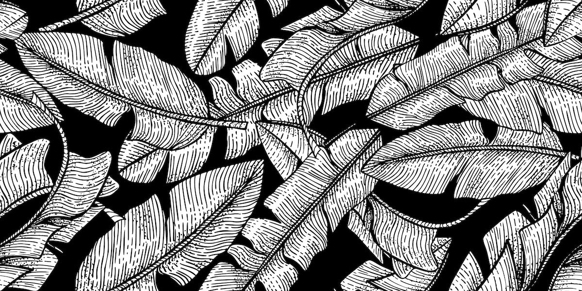Papier peint nature - jungle exotique en noir et blanc