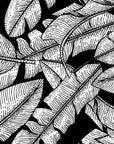 Nature wallpaper - exotic jungle in black and white