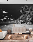 Black and White Wallpaper - Tropical Beach with Contrasting Sky