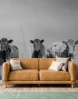 Papier Peint Nature - Vaches Highland