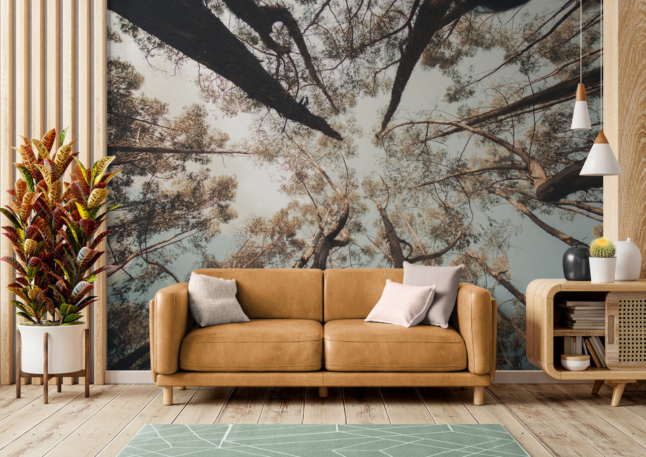 Forest Wallpaper - Sky Between the Branches