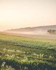 Nature Wallpaper – Misty Sunrise