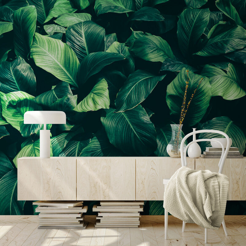 Papier Peint Feuillage - Feuilles Larges Verdoyantes