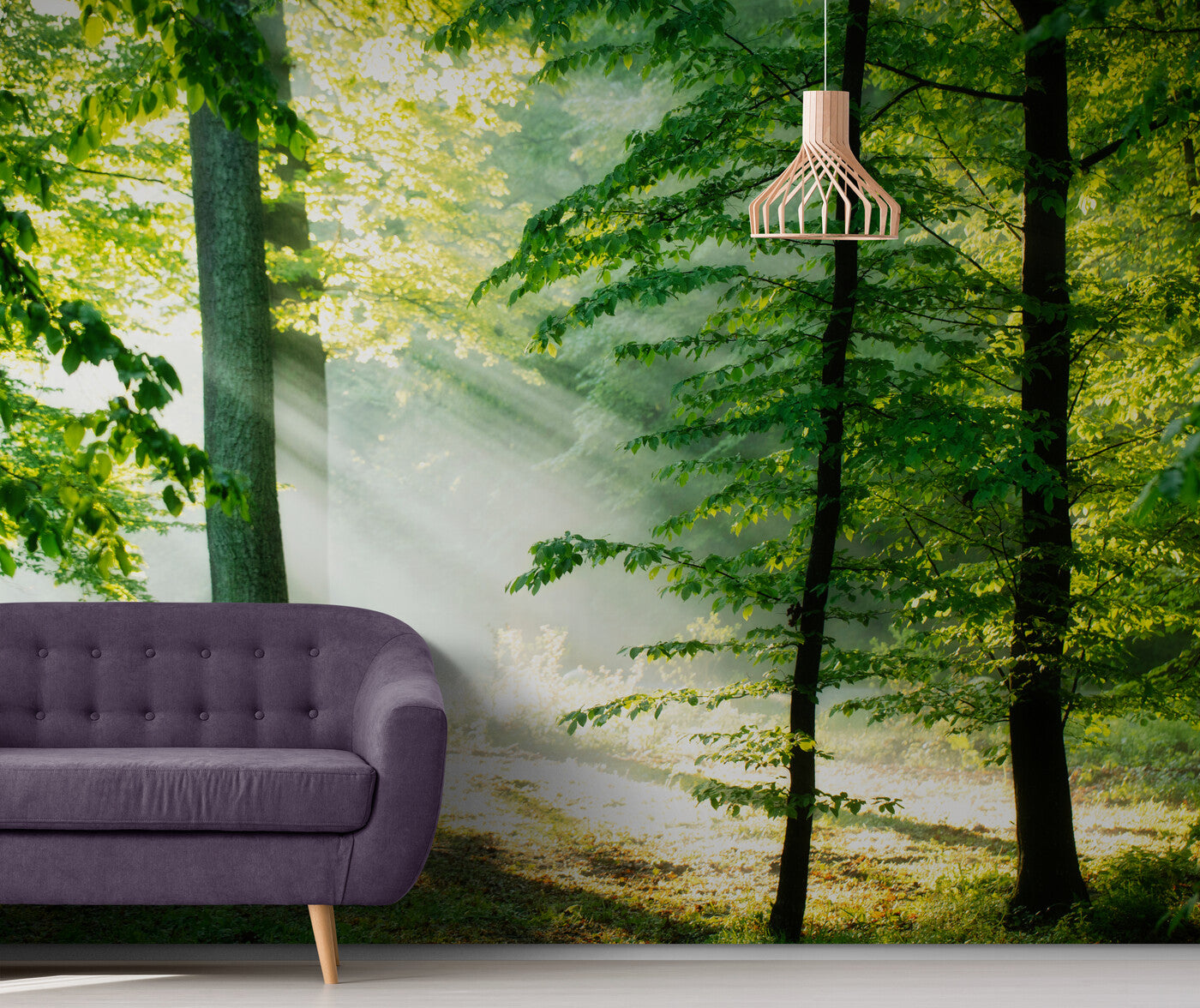 Forest Wallpaper - Morning Light