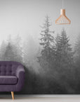 Black and White Wallpaper - Fir Trees in the Mist