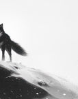 Papier peint animaux - loup solitaire au sommet enneigé