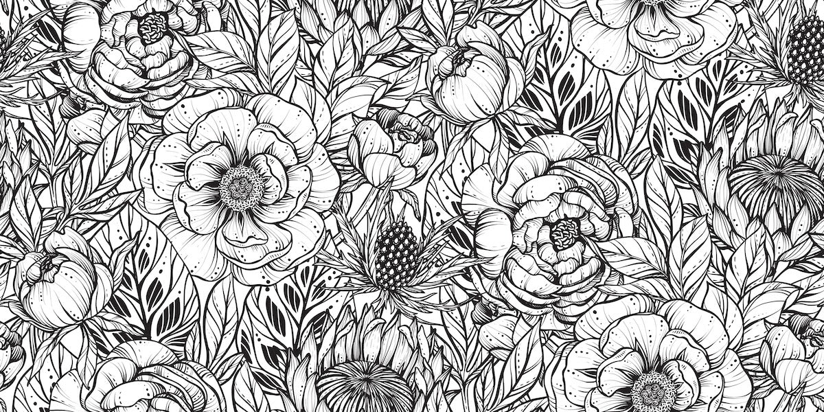 Papier peint nature - parterre de roses en noir et blanc