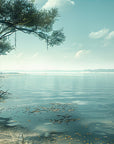 Papier peint campagne - rivage aux arbres côtiers