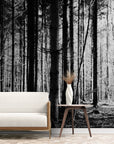 Papier Peint Noir Et Blanc - Forêt Dense