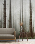 Papier Peint Forêt - Pins Brumeux