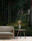 Forest Wallpaper - Mystery of the Dark Woods