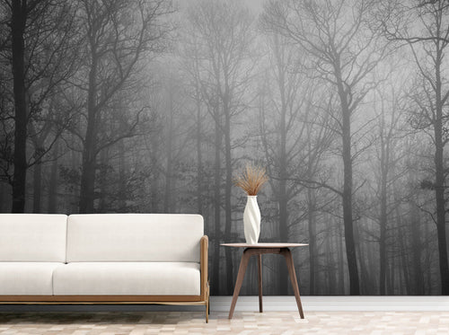 Papier Peint Noir et Blanc - Forêt Voilée de Brume