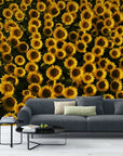 Papier Peint Floral - Tournesol Lumineux