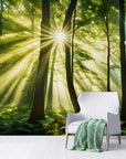 Papier Peint Paysage - Forêt Verdoyante Et Lumineuse