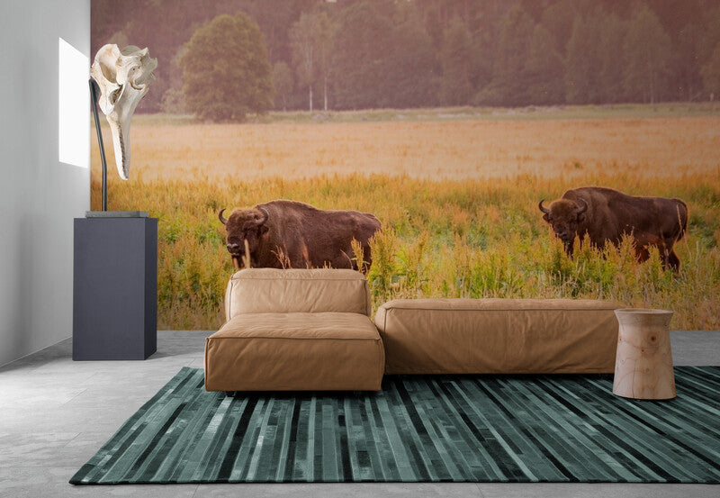 Papier Peint Nature - Prairies Et Bisons
