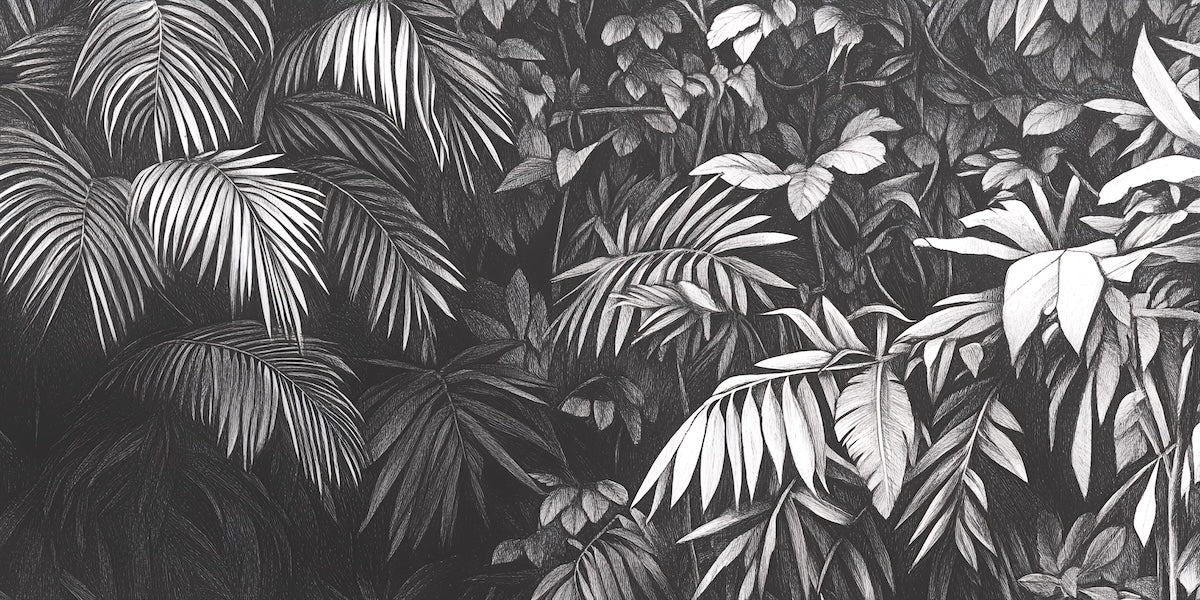 Papier peint nature - feuillage tropical en noir et blanc