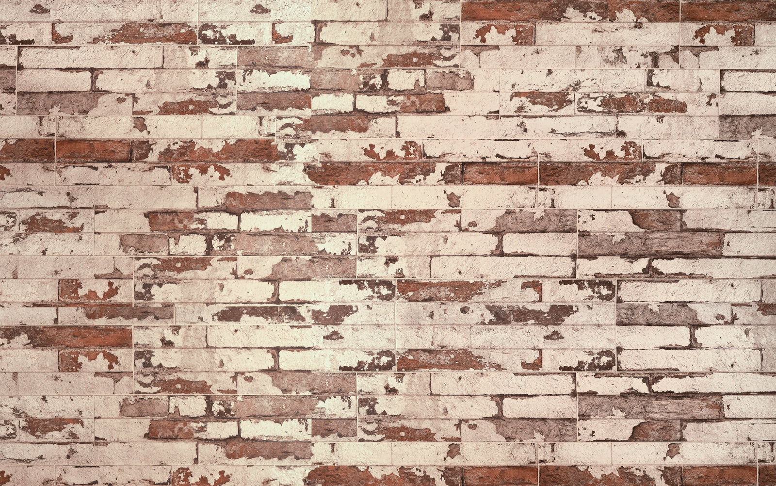 Papier Peint Pierre - Mur de Briques Blanches Effritées