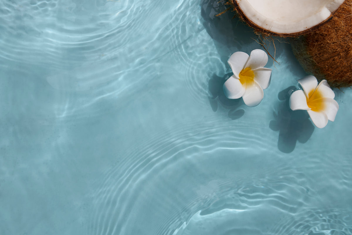 Papier peint tropical - Eau turquoise et fleurs blanches